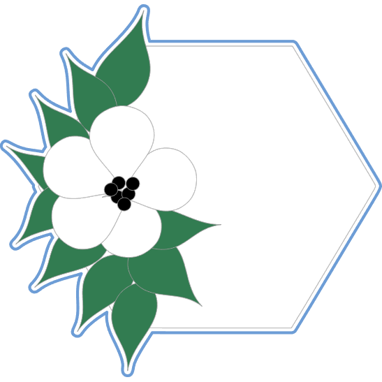 Hexagon with Flowers Cookie Cutter