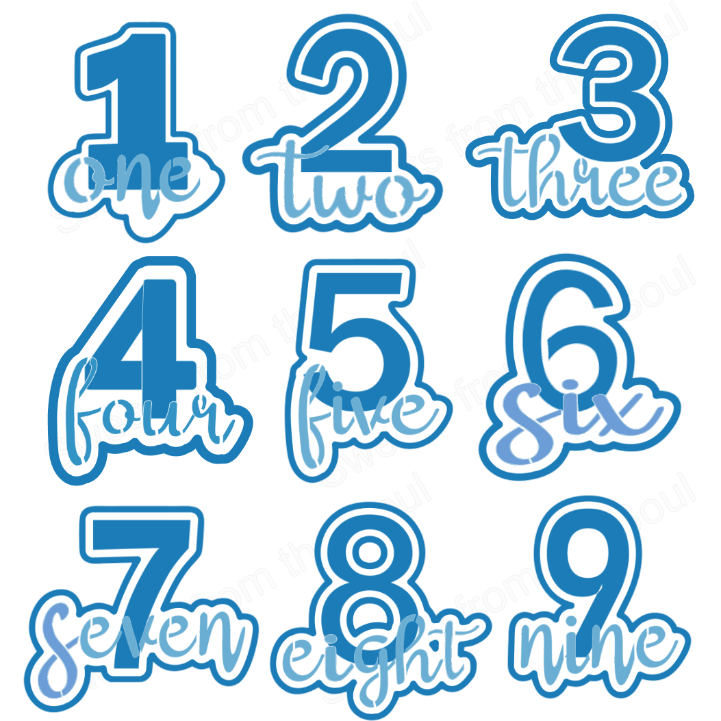 Birthday Cookie Cutter and Stencil Set